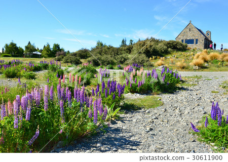 church Good shepherd at lake tekapo church Good shepherd at lake tekapo 30611900