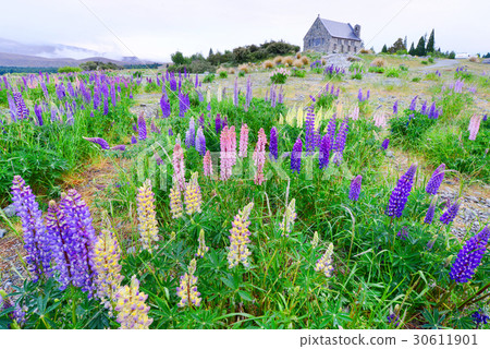 church Good shepherd at lake tekapo church Good shepherd at lake tekapo 30611901