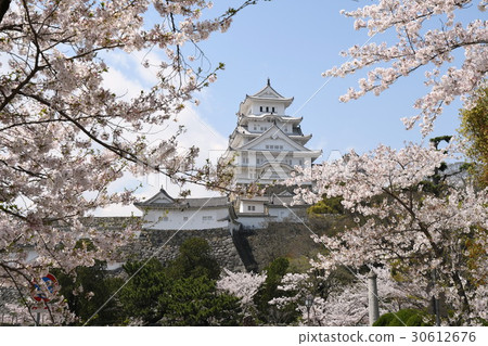 Spring of Himeji Castle Spring of Himeji Castle 30612676