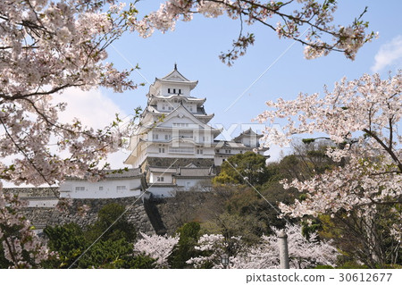 Spring of Himeji Castle Spring of Himeji Castle 30612677