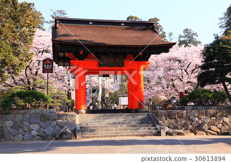 I look at the precincts from the red gate of Jirin temple I look at the precincts from the red gate of Jirin temple 30613894