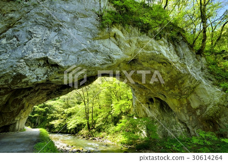 Fresh green bridge 30614264