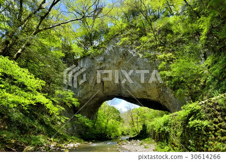 Fresh green bridge Fresh green bridge 30614266
