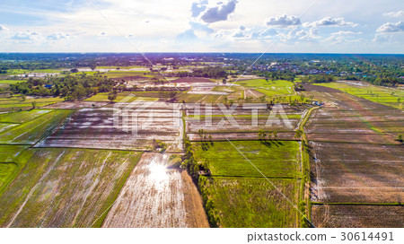 Bird's view 3 30614491