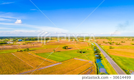 Bird's view 9 30614499