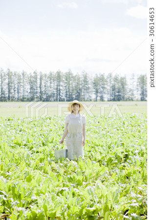 農業女孩 30614653