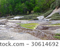 Natural moss 30614692