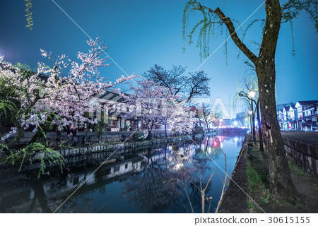 Cherry Blossoms Cherry Blossoms 30615155