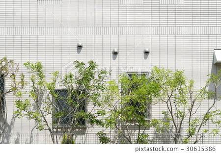 設施表面格子窗戶安全窗戶圍牆外牆1樓計劃用於蒙上眼睛的種植 設施表面格子窗戶安全窗戶圍牆外牆1樓計劃用於蒙上眼睛的種植 30615386