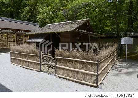Kawai Shrine Hakuto no Eh Kawai Shrine Hakuto no Eh 30615824
