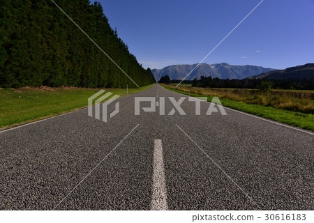 Empty road with blue sky and pine trees Empty road with blue sky and pine trees 30616183
