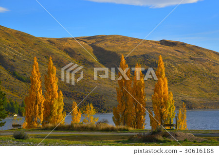 Autumn yellow leaf with background of great nature 30616188