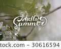 Flower Background and Hello Summer Lettering. 30616594