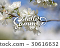 Flower Background and Hello Summer Lettering. 30616632