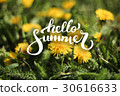 Flower Background and Hello Summer Lettering 30616633
