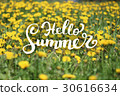 Flower Background and Hello Summer Lettering 30616634