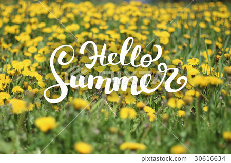 Flower Background and Hello Summer Lettering Flower Background and Hello Summer Lettering 30616634