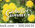 Flower Background and Hello Summer Lettering 30616636
