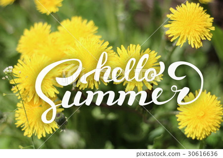 Flower Background and Hello Summer Lettering Flower Background and Hello Summer Lettering 30616636