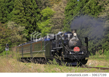 禁止海外線SL新鮮綠色 禁止海外線SL新鮮綠色 30617199