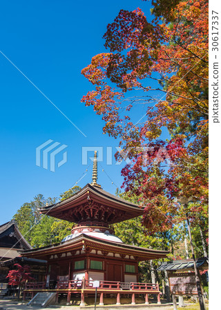 和歌山秋葉高野山東塔 30617337