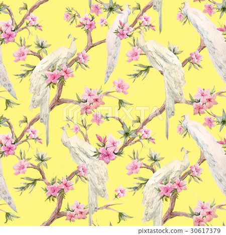 Watercolor vector peacock and flowers pattern Watercolor vector peacock and flowers pattern 30617379