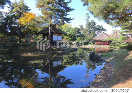 Autumn's medicinal garden (Aizuwakamatsu city) 30617497