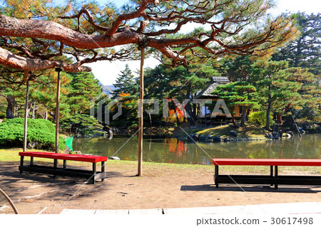 Autumn's medicinal garden (Aizuwakamatsu city) 30617498