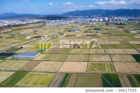 Suburban farmland 30617593