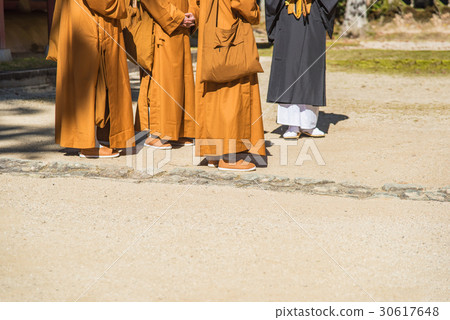 Mr. Koyasan of Wakayama's autumn leaves a monk who talks with a girlfriend from a foreign country 30617648
