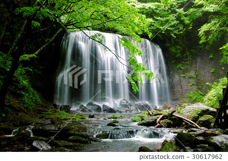 Summer Tatsuzawa Fudo Fall (Inawashiro-machi) 30617962