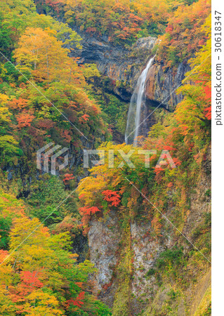 新潟妙高_秋葉的Sowaki 30618347