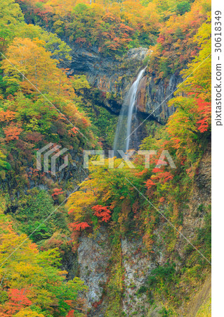 新潟妙高_秋葉的Sowaki 新潟妙高_秋葉的Sowaki 30618349