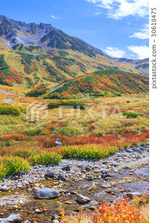 Toyama prefecture _ Exquisite Tateyama Muro foli leaves 30618475