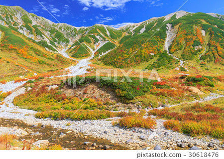 Toyama prefecture _ Exquisite Tateyama Muro foli leaves 30618476