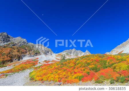 Nagano_Swonderful風景卡爾秋葉 30618835