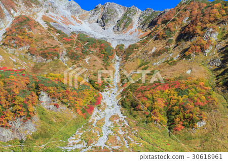 Nagano_Swonderful風景卡爾秋葉 30618961