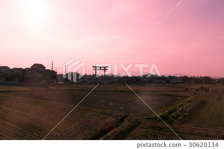 Oogami Shrine·Otorii(奈良縣櫻井市) Oogami Shrine·Otorii(奈良縣櫻井市) 30620134
