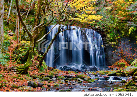 Fall Tsunesawa Fudo Fall (Inawashiro-machi) Fall Tsunesawa Fudo Fall (Inawashiro-machi) 30620413