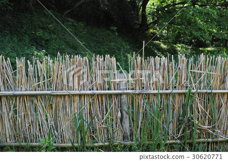 Reedge Reedge 30620771