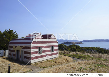 Cat's paradise "Tashiro Island" Cat's Island (ΦωΦ) cat houses Manga Island Cartoon Island 30620899