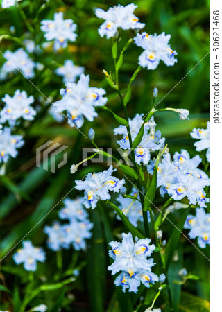 Shaga Group village water source village 30621468