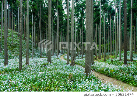 Shaga Group village water source village 30621474