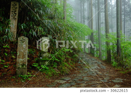 Road to Saigyo-an (Yoshino-cho, Yoshino-gun, Nara) 30622615