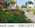 Street view, city, traffic, sidewalk 30623075
