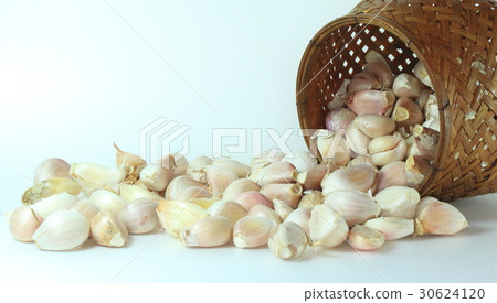 Garlic Garlic 30624120