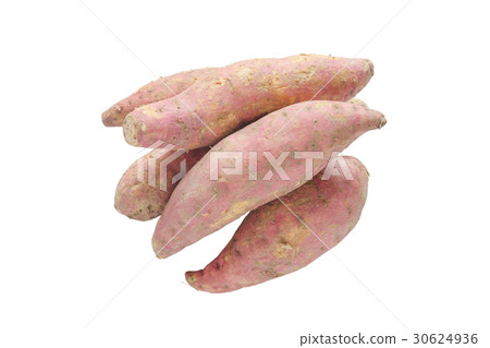 Raw sweet potato isolated on white background Raw sweet potato isolated on white background 30624936