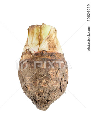 Raw taro isolated on white background Raw taro isolated on white background 30624939