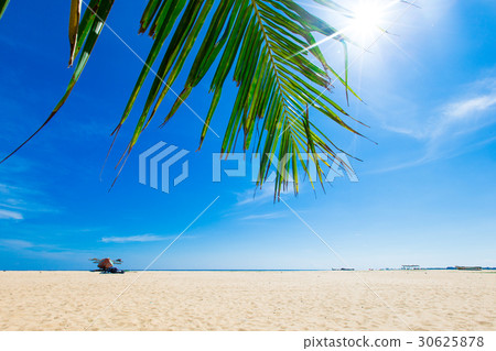 tropical beach tropical beach 30625878