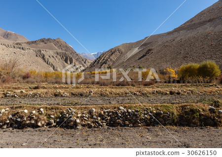 Rural fields in the autumn, Mustang, Nepal 30626150